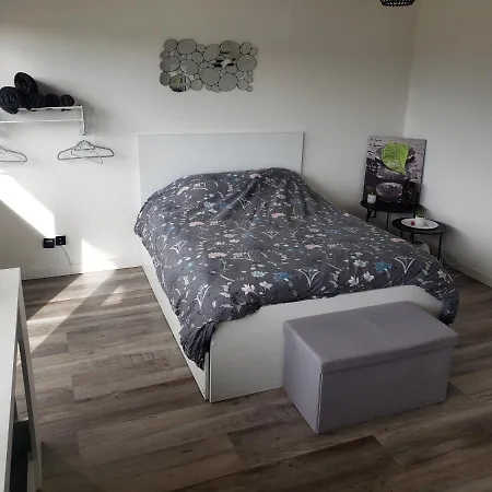 Jolie Grand Avec Vue Sur Les Vosges, Balcon アパート *