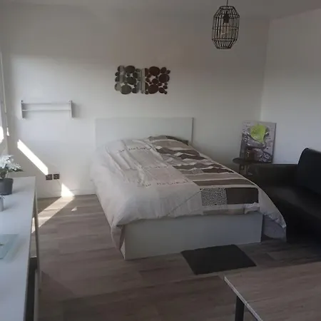 アパート Jolie Grand Avec Vue Sur Les Vosges, Balcon *